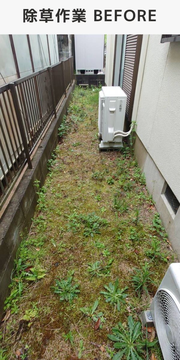 大阪市内での除草作業